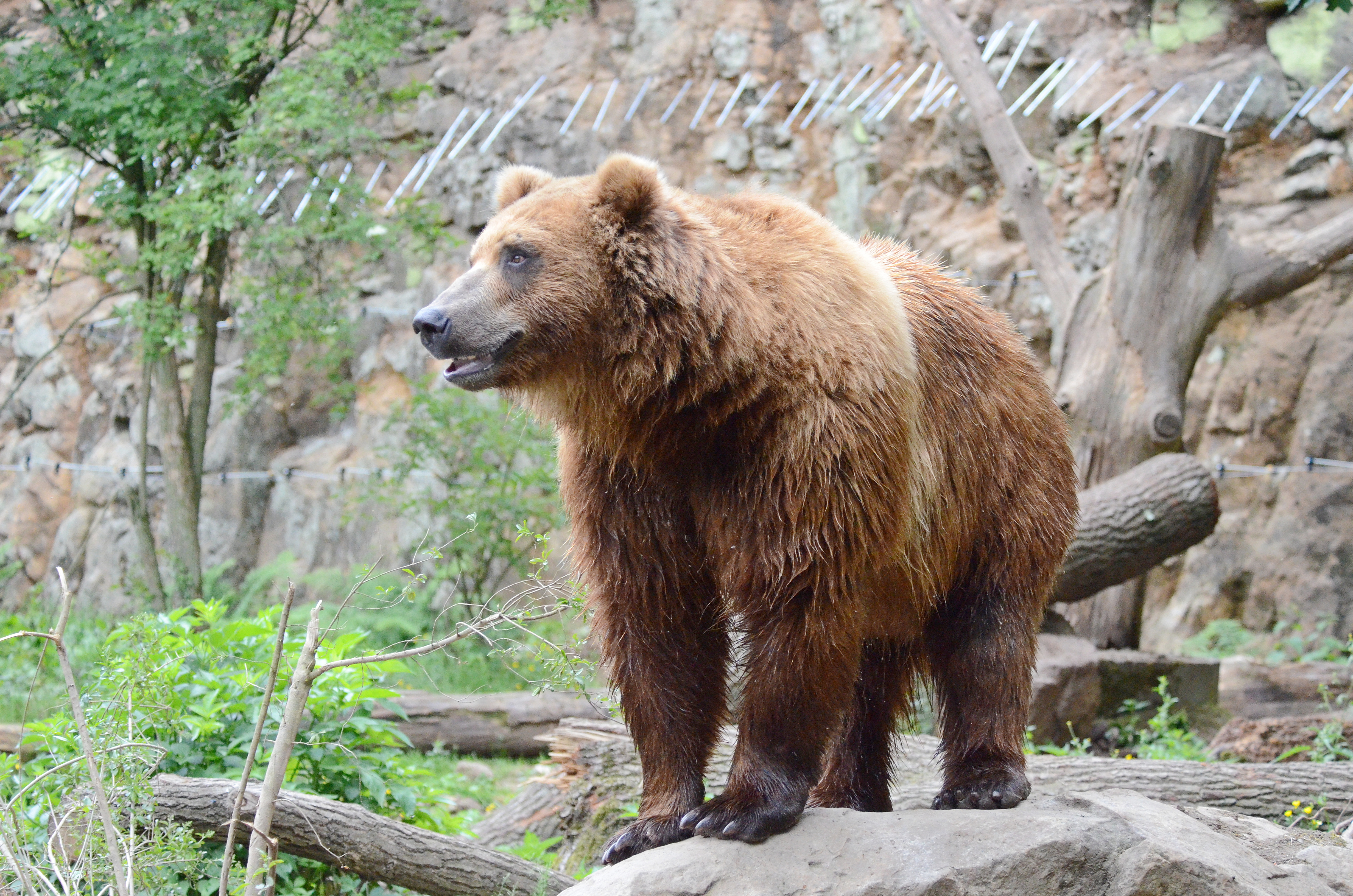 ZOO Děčín